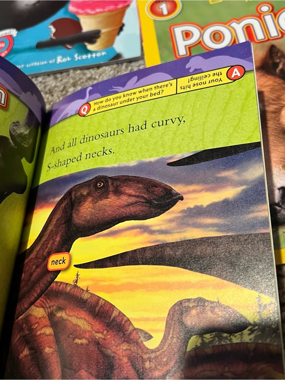 I can read Scholastic Kids Books Bundle Level 1 Splat the Cat Dairy of a Worm - Picture 7 of 12